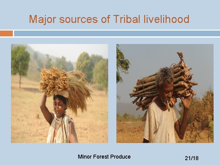 Major sources of Tribal livelihood Minor Forest Produce 21/18 