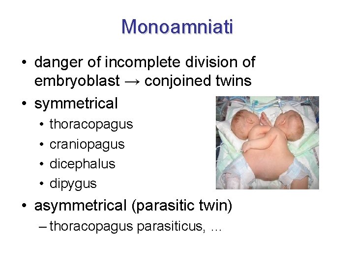 Monoamniati • danger of incomplete division of embryoblast → conjoined twins • symmetrical •