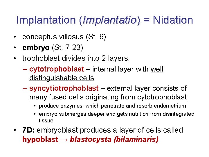 Implantation (Implantatio) = Nidation • conceptus villosus (St. 6) • embryo (St. 7 -23)