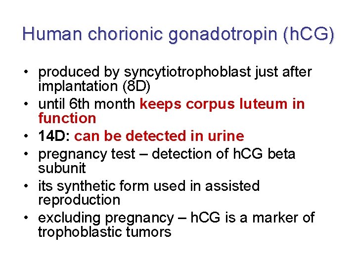 Human chorionic gonadotropin (h. CG) • produced by syncytiotrophoblast just after implantation (8 D)