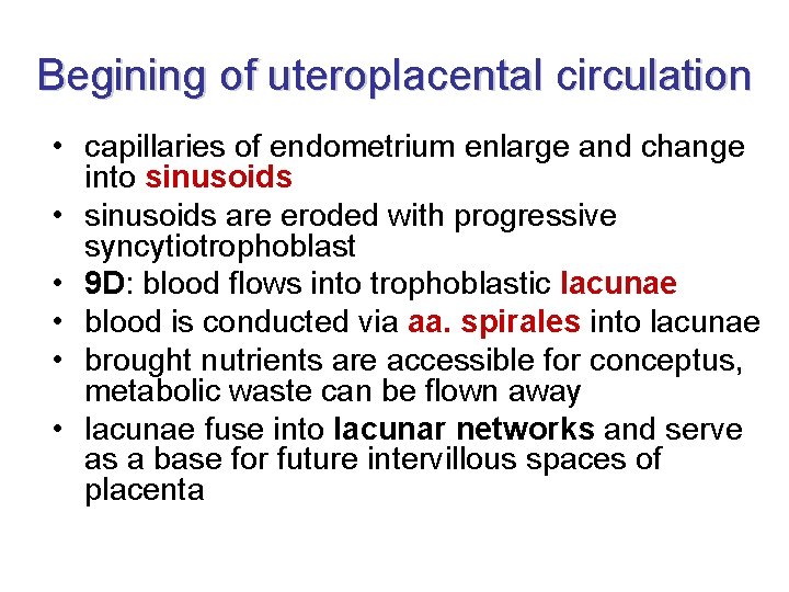 Begining of uteroplacental circulation • capillaries of endometrium enlarge and change into sinusoids •