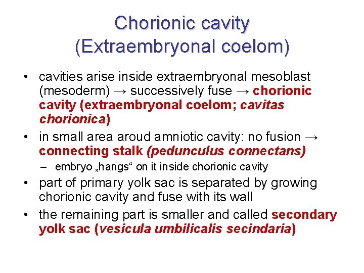Chorionic cavity (Extraembryonal coelom) • cavities arise inside extraembryonal mesoblast (mesoderm) → successively fuse