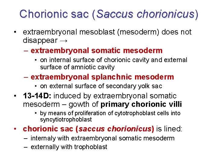 Chorionic sac (Saccus chorionicus) • extraembryonal mesoblast (mesoderm) does not disappear → – extraembryonal