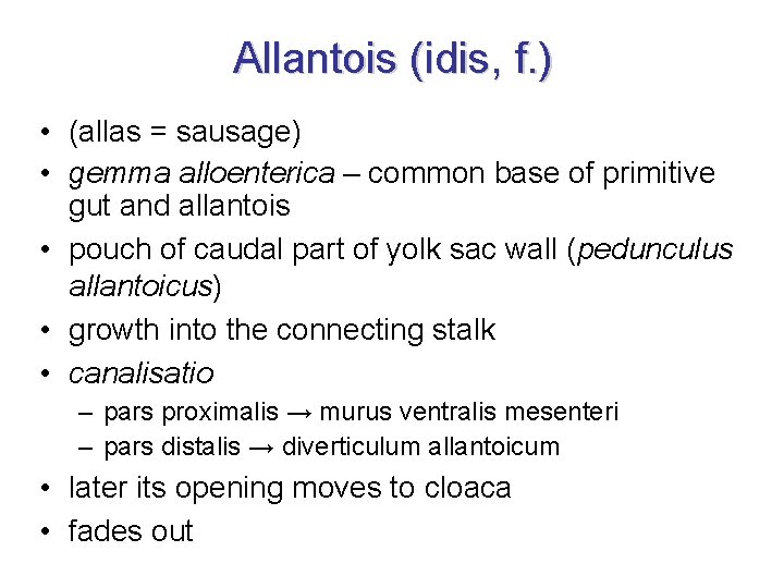 Allantois (idis, f. ) • (allas = sausage) • gemma alloenterica – common base