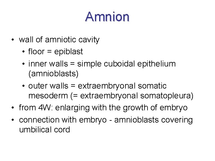 Amnion • wall of amniotic cavity • floor = epiblast • inner walls =