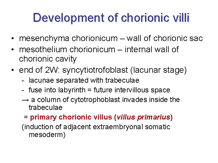 Development of chorionic villi • mesenchyma chorionicum – wall of chorionic sac • mesothelium