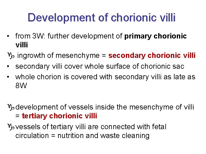 Development of chorionic villi • from 3 W: further development of primary chorionic villi