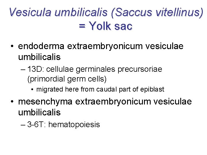 Vesicula umbilicalis (Saccus vitellinus) = Yolk sac • endoderma extraembryonicum vesiculae umbilicalis – 13