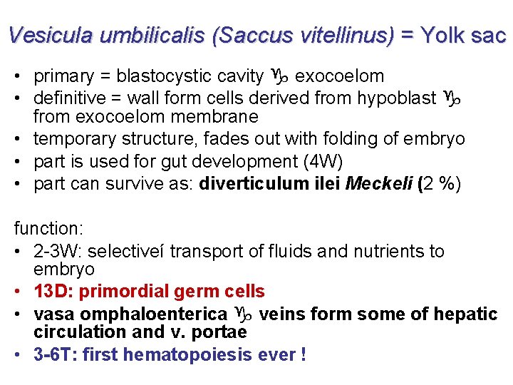 Vesicula umbilicalis (Saccus vitellinus) = Yolk sac • primary = blastocystic cavity exocoelom •