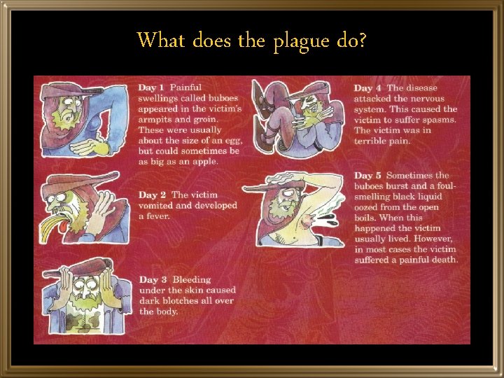 What does the plague do? 