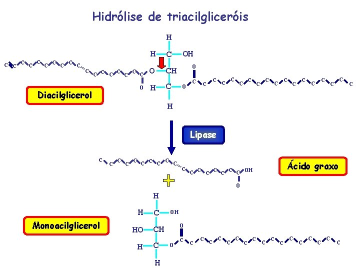 Hidrólise de triacilgliceróis H C C C H C C C C O CH