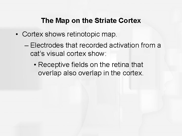 The Map on the Striate Cortex • Cortex shows retinotopic map. – Electrodes that
