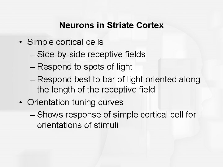 Neurons in Striate Cortex • Simple cortical cells – Side-by-side receptive fields – Respond