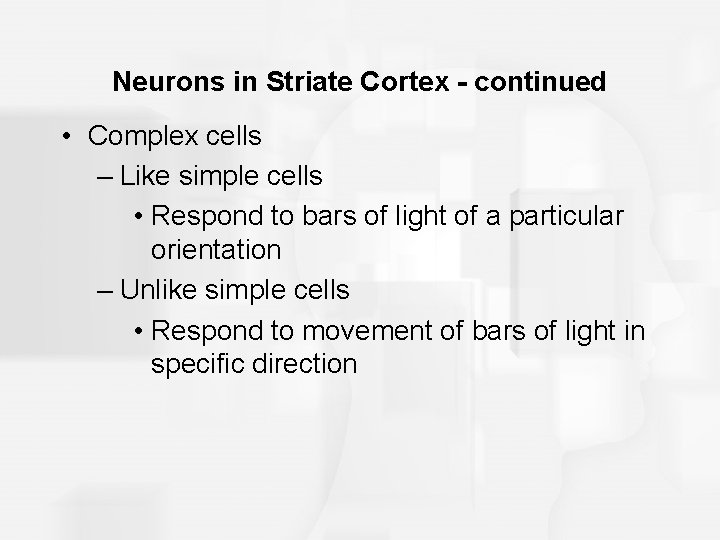 Neurons in Striate Cortex - continued • Complex cells – Like simple cells •