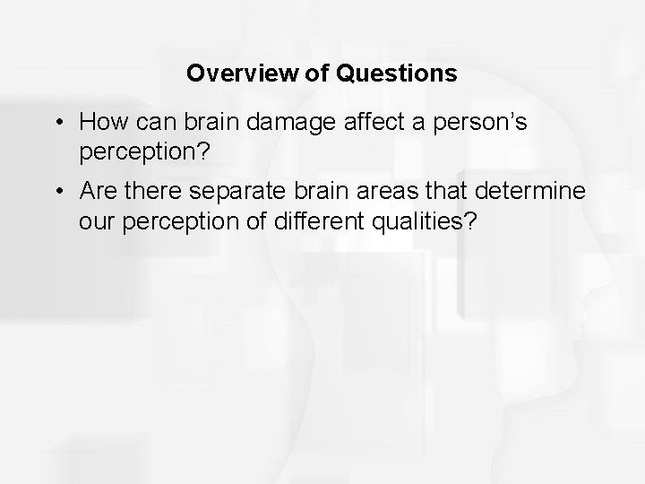 Overview of Questions • How can brain damage affect a person’s perception? • Are