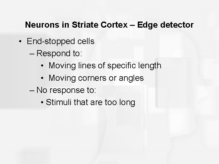 Neurons in Striate Cortex – Edge detector • End-stopped cells – Respond to: •