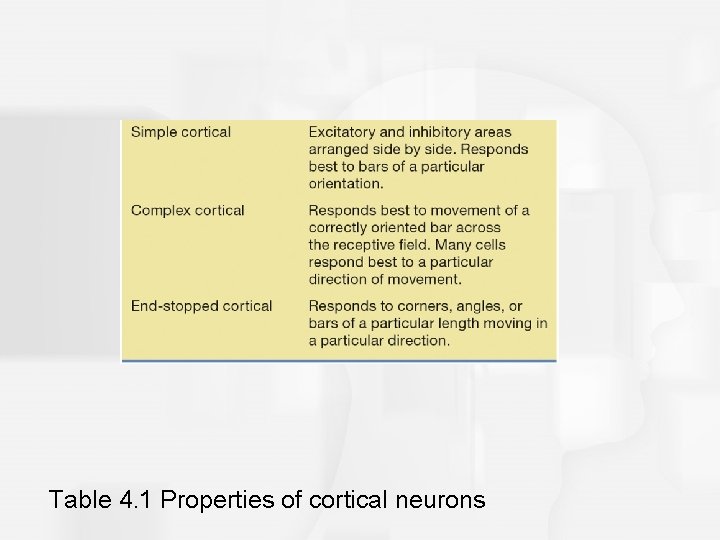 Table 4. 1 Properties of cortical neurons 