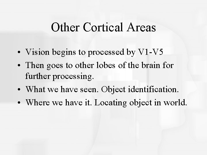 Other Cortical Areas • Vision begins to processed by V 1 -V 5 •