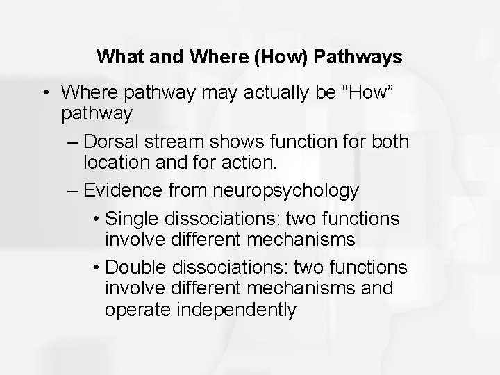 What and Where (How) Pathways • Where pathway may actually be “How” pathway –