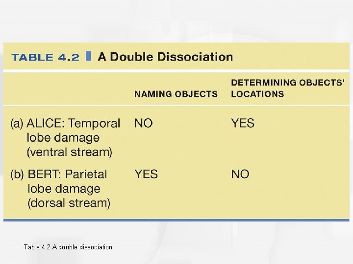 Table 4. 2 A double dissociation 