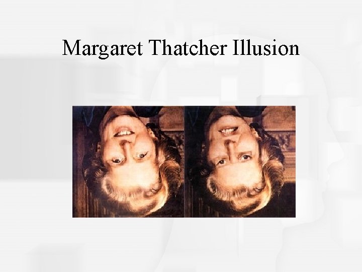 Margaret Thatcher Illusion 