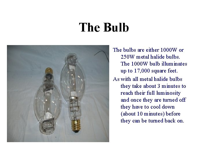 The Bulb The bulbs are either 1000 W or 250 W metal halide bulbs.