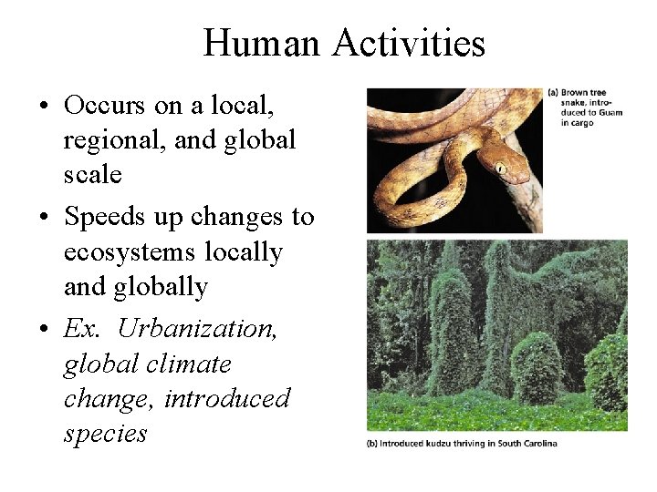 Human Activities • Occurs on a local, regional, and global scale • Speeds up