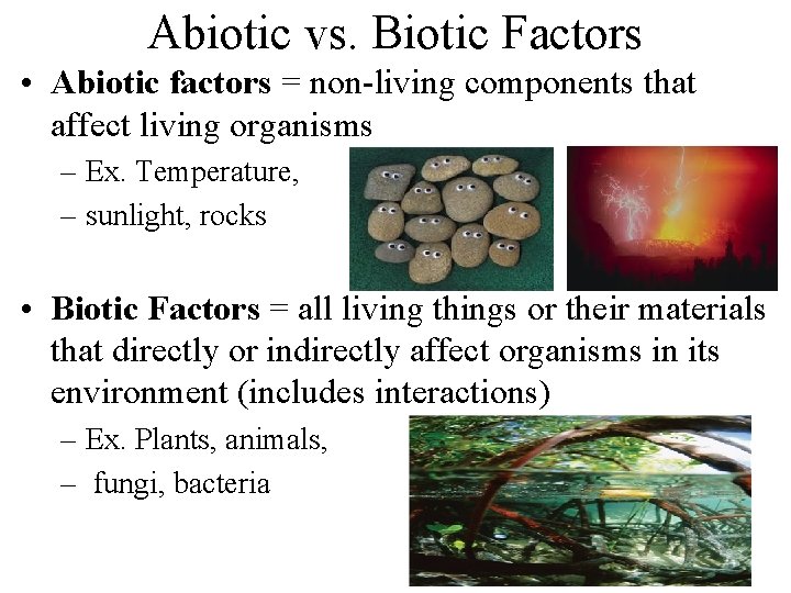 Abiotic vs. Biotic Factors • Abiotic factors = non-living components that affect living organisms