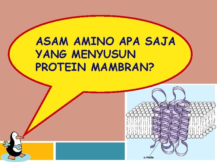ASAM AMINO APA SAJA YANG MENYUSUN PROTEIN MAMBRAN? 20072008 