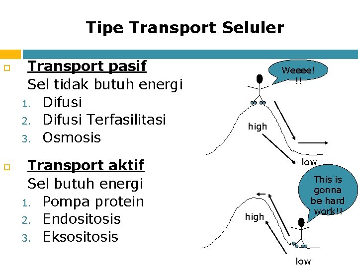 Tipe Transport Seluler Transport pasif Sel tidak butuh energi 1. Difusi 2. Difusi Terfasilitasi