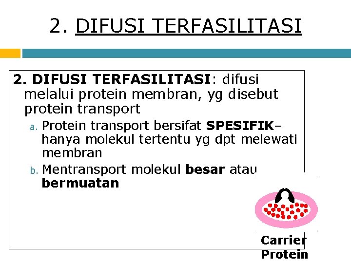2. DIFUSI TERFASILITASI: difusi melalui protein membran, yg disebut protein transport Protein transport bersifat