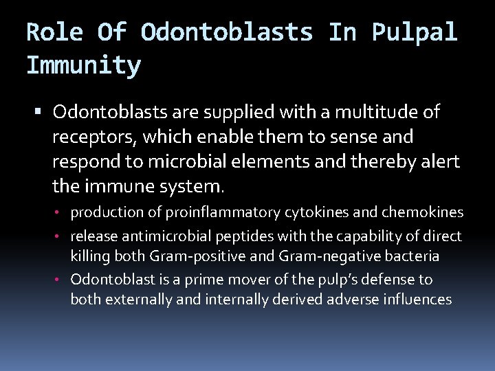 Role Of Odontoblasts In Pulpal Immunity Odontoblasts are supplied with a multitude of receptors,