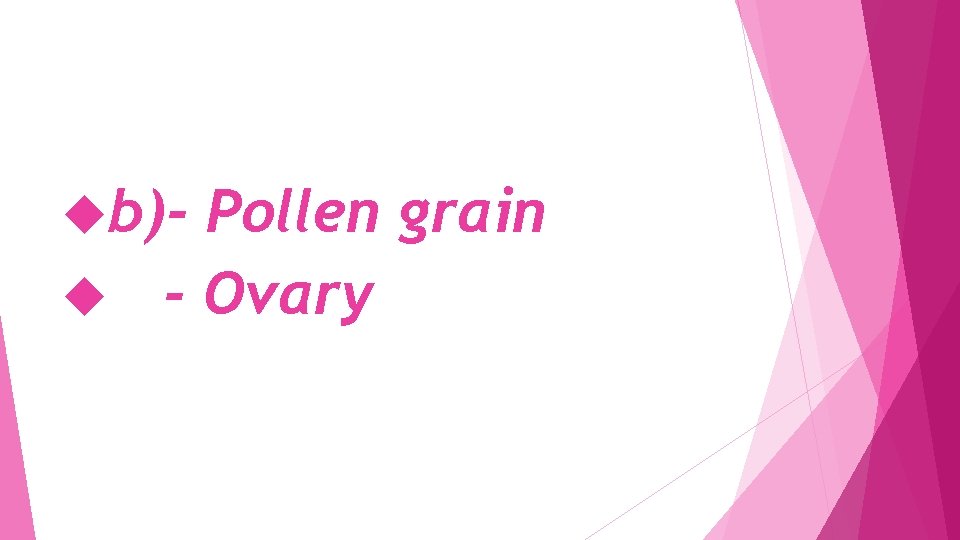  b)- Pollen grain - Ovary 