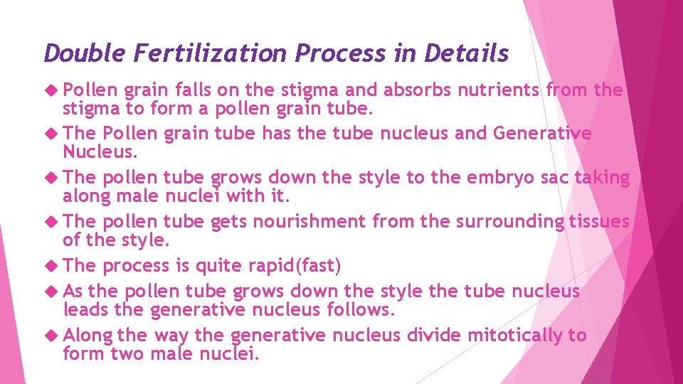 Double Fertilization Process in Details Pollen grain falls on the stigma and absorbs nutrients