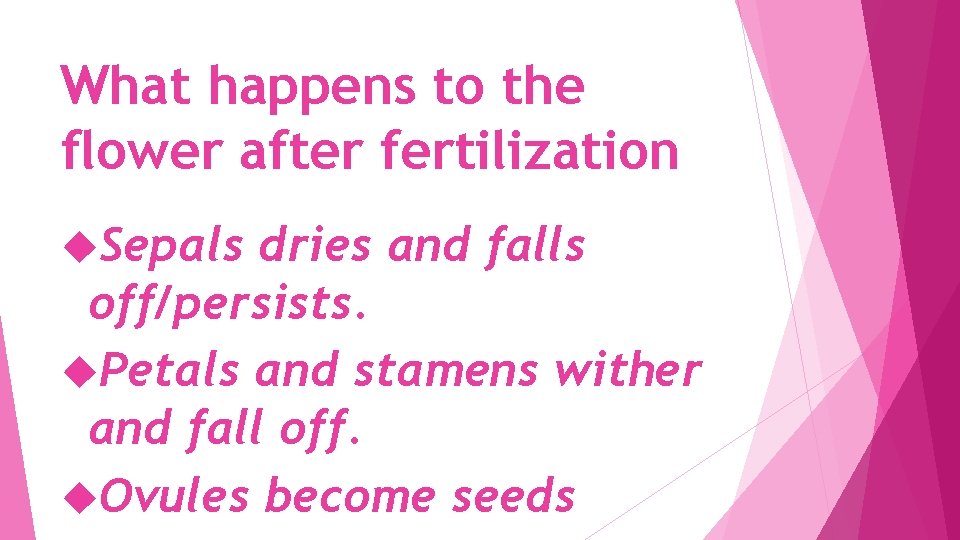 What happens to the flower after fertilization Sepals dries and falls off/persists. Petals and