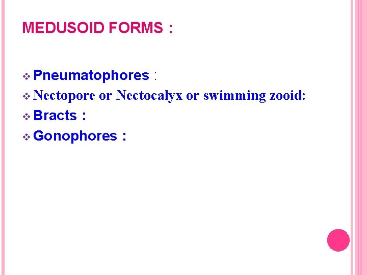 MEDUSOID FORMS : v Pneumatophores : v Nectopore or Nectocalyx or swimming zooid: v