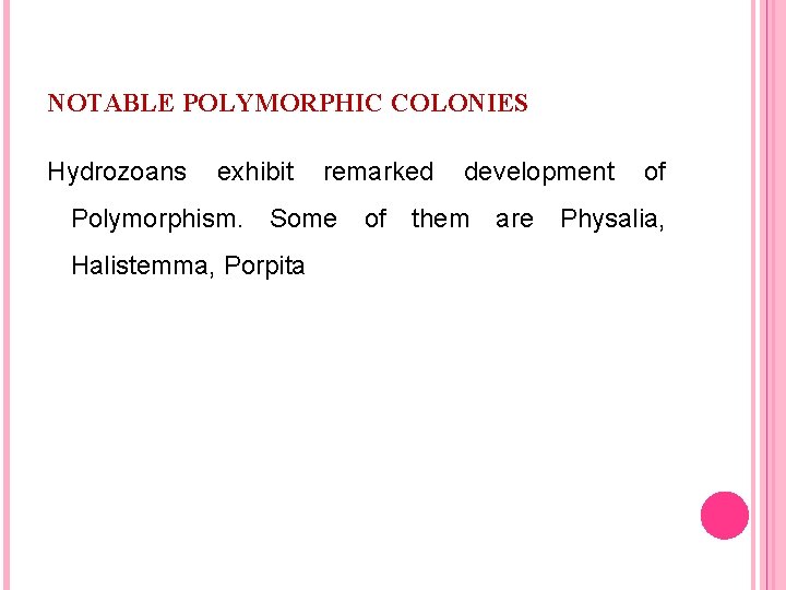NOTABLE POLYMORPHIC COLONIES Hydrozoans exhibit remarked development of Polymorphism. Some of them are Physalia,