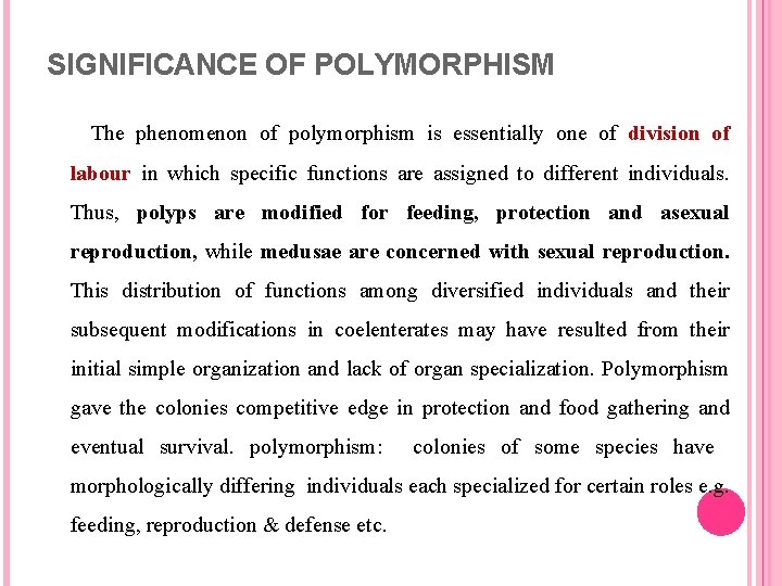 SIGNIFICANCE OF POLYMORPHISM The phenomenon of polymorphism is essentially one of division of labour