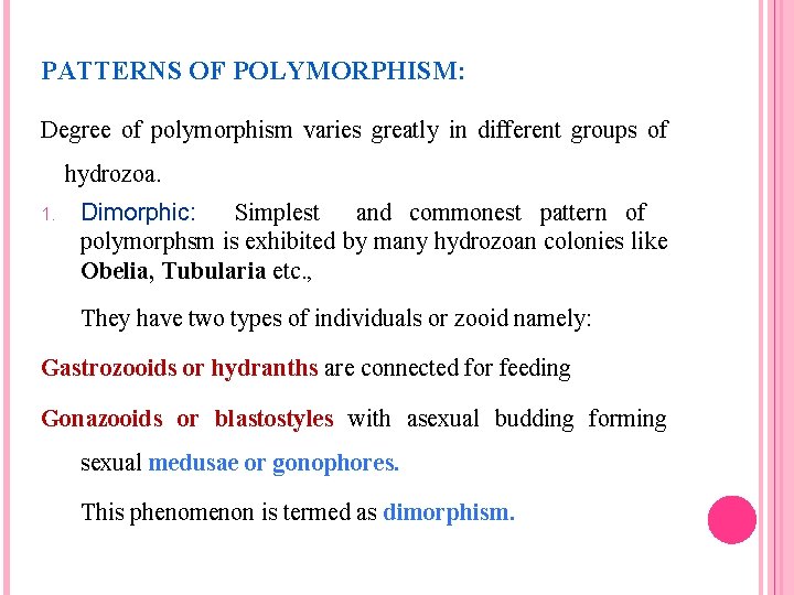 PATTERNS OF POLYMORPHISM: Degree of polymorphism varies greatly in different groups of hydrozoa. 1.