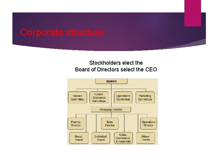 Corporate structure Stockholders elect the Board of Directors select the CEO 