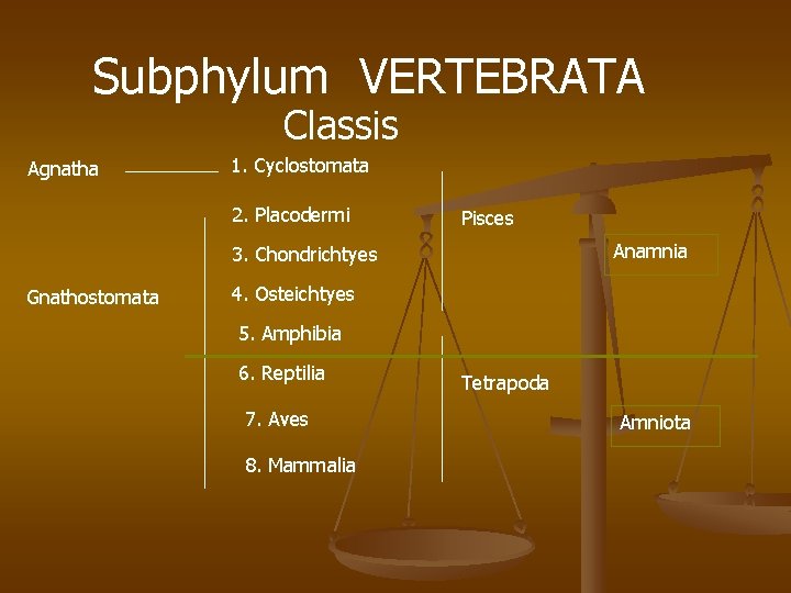 Subphylum VERTEBRATA Classis Agnatha 1. Cyclostomata 2. Placodermi Pisces Anamnia 3. Chondrichtyes Gnathostomata 4.