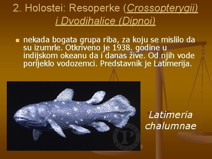 2. Holostei: Resoperke (Crossopterygii) ( i Dvodihalice (Dipnoi) n nekada bogata grupa riba, za