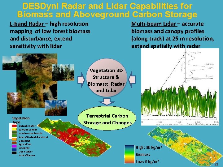 DESDyn. I Radar and Lidar Capabilities for Biomass and Aboveground Carbon Storage L-band Radar