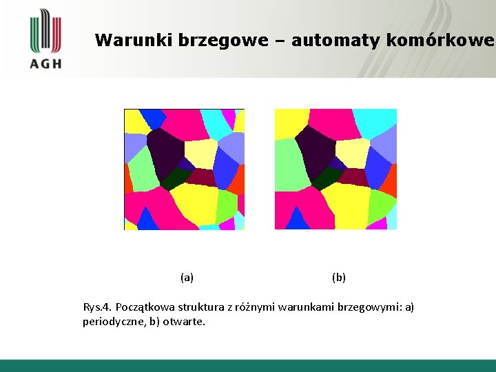 Warunki brzegowe – automaty komórkowe (a) (b) Rys. 4. Początkowa struktura z różnymi warunkami