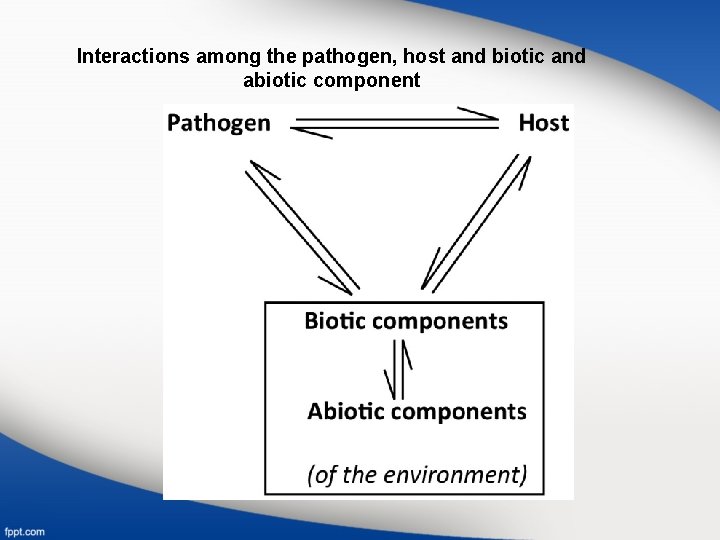 Interactions among the pathogen, host and biotic and abiotic component 