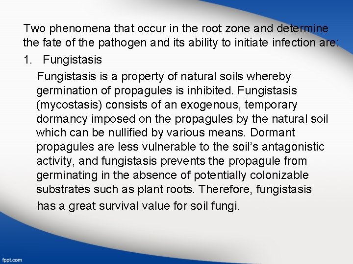 Two phenomena that occur in the root zone and determine the fate of the