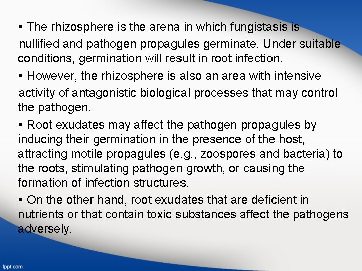 § The rhizosphere is the arena in which fungistasis is nullified and pathogen propagules