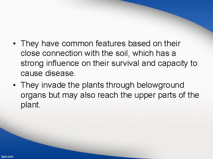  • They have common features based on their close connection with the soil,