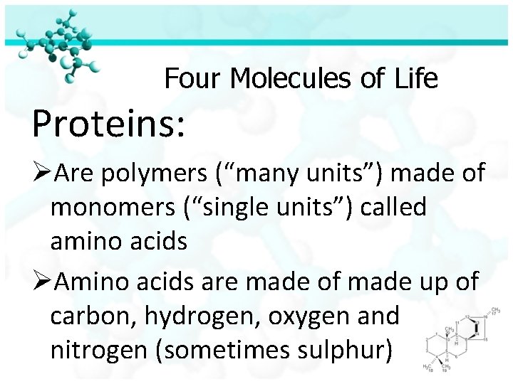 Four Molecules of Life Proteins: ØAre polymers (“many units”) made of monomers (“single units”)