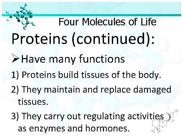 Four Molecules of Life Proteins (continued): ØHave many functions 1) Proteins build tissues of